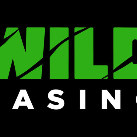 Wild Casino Overview